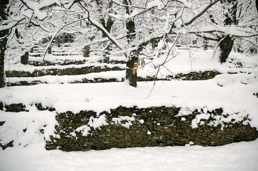 gite008.jpg