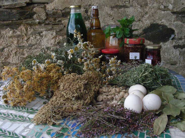 jardin014.jpg